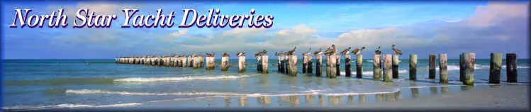 A group of seagulls sitting on top of a wooden pier.